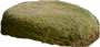 Stone