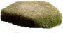 Stone