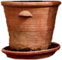 Clay pot