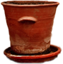 Clay pot